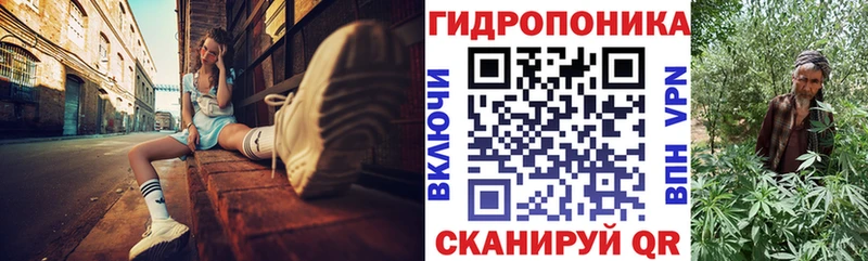 Шишки марихуана White Widow  Купить закладки  Моздок 